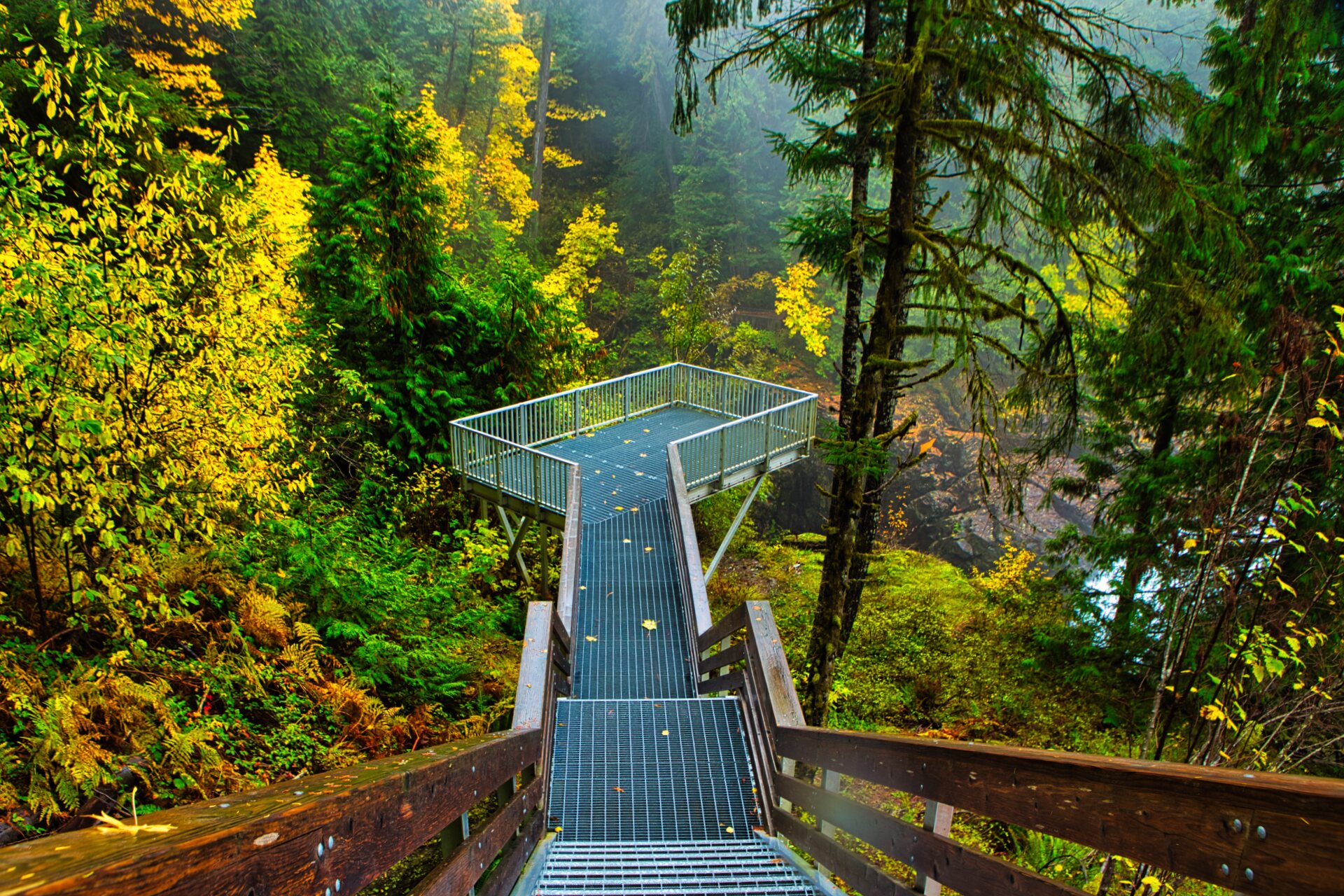 Vancouver Island Landscape