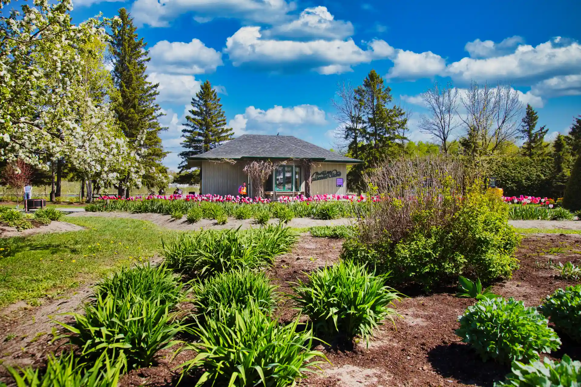 The architectural park pavilions integrated into the green spaces