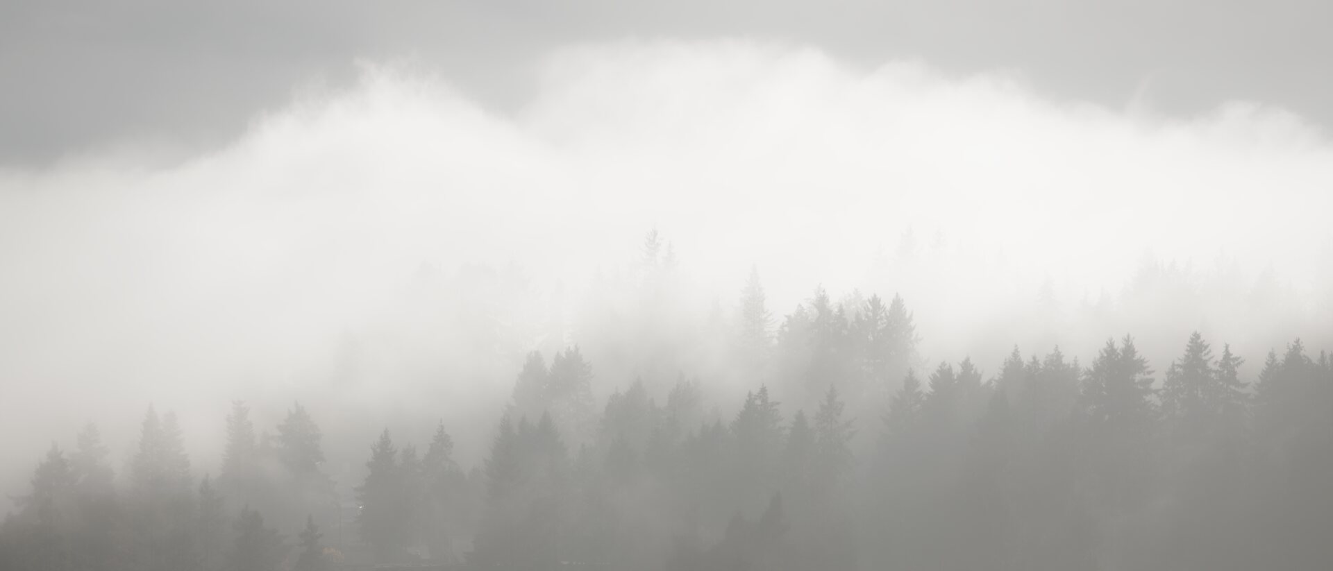 Mastering Fog Photography Guide by Joël Bourgoin