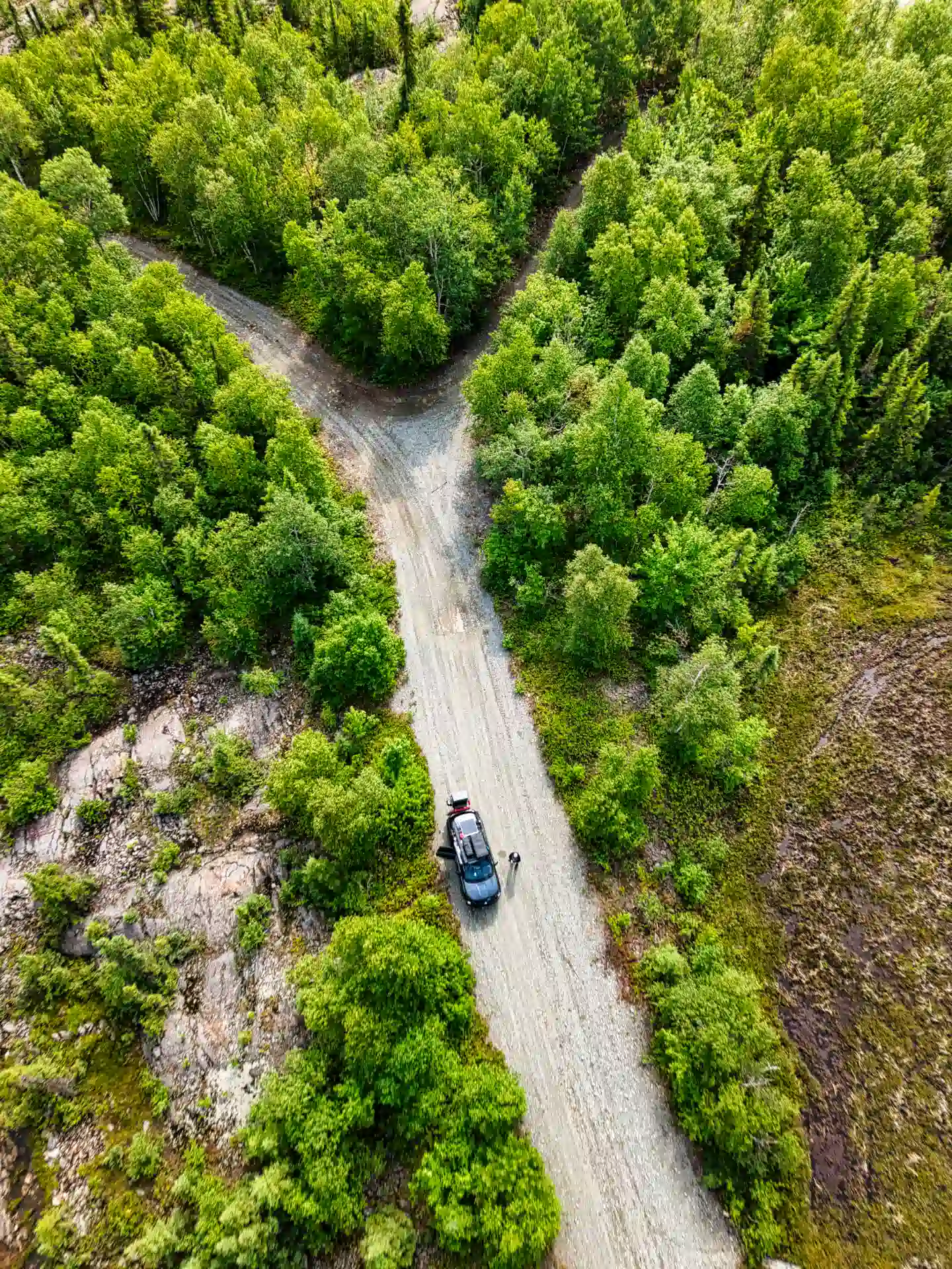 At the Crossroad of Wilderness on Mont Powell trail