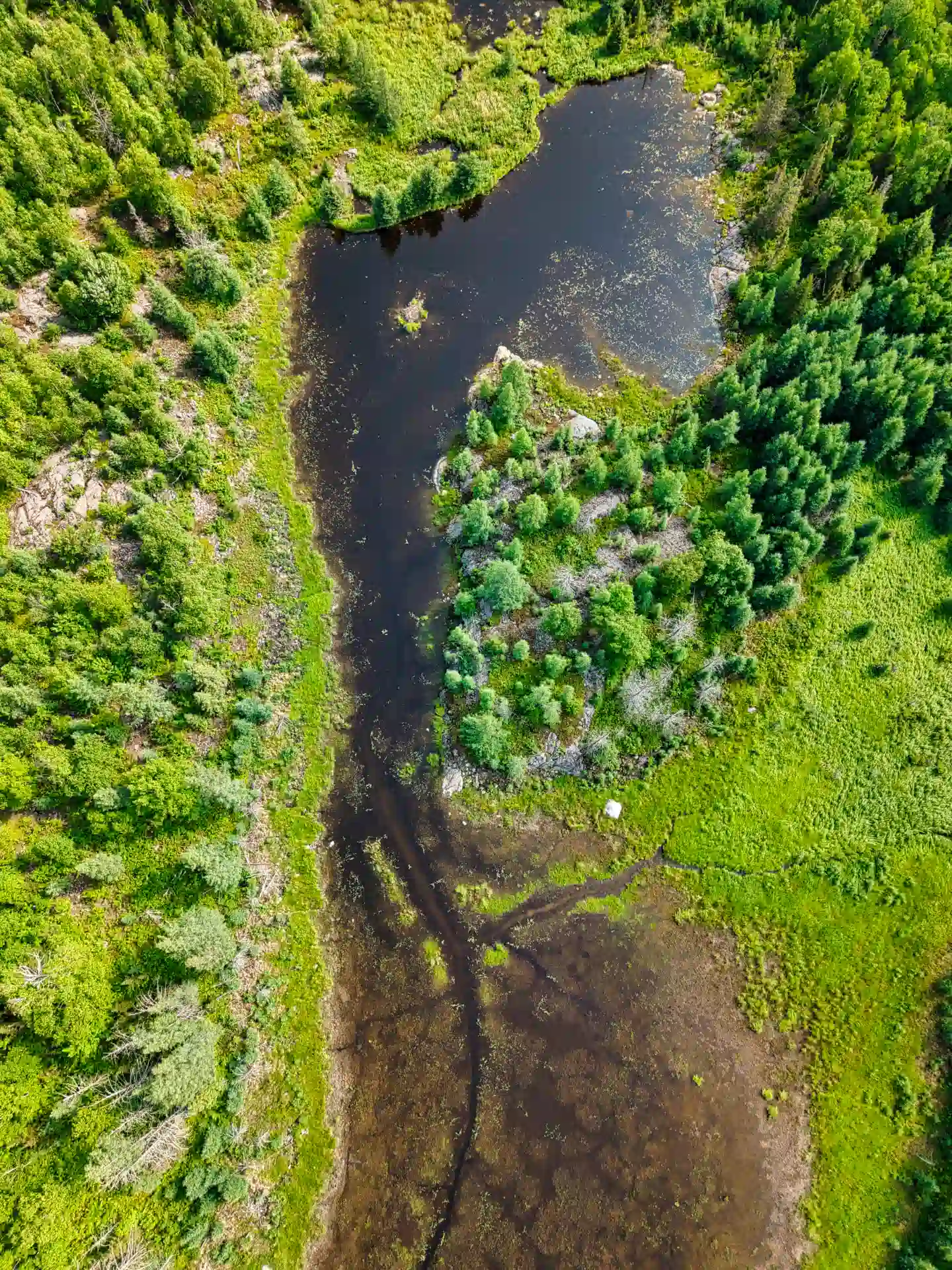 The Veins of the Boreal Shield top down aerial photography