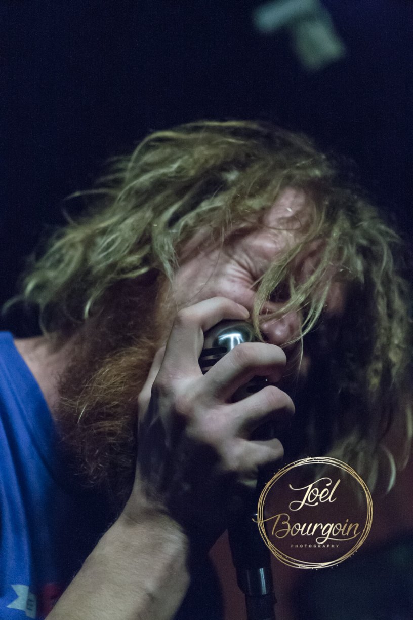 Nowel Mega Fiable Live Concert Archive