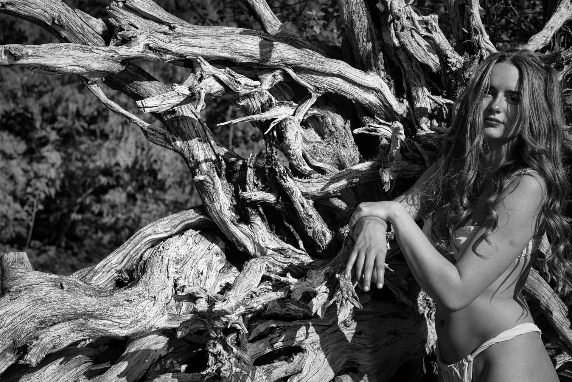 Wilderness Immersion Landscape Photography Package